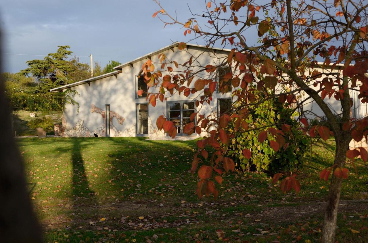Agriturismo Arte Et Agricoltura Tuscania Exterior photo